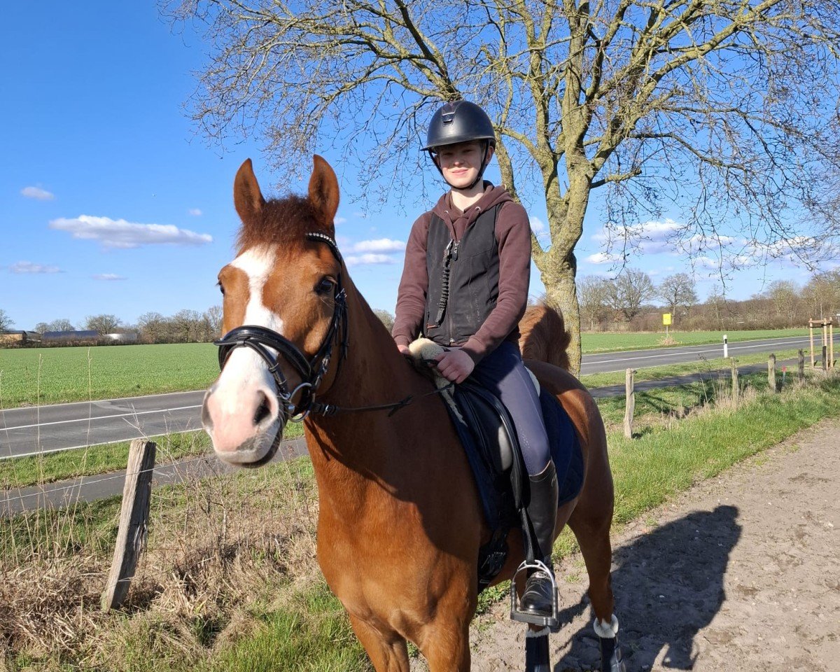 jumper Rocka Billy G (German Riding Pony, 2017, from Bünteeichen Ricardo)