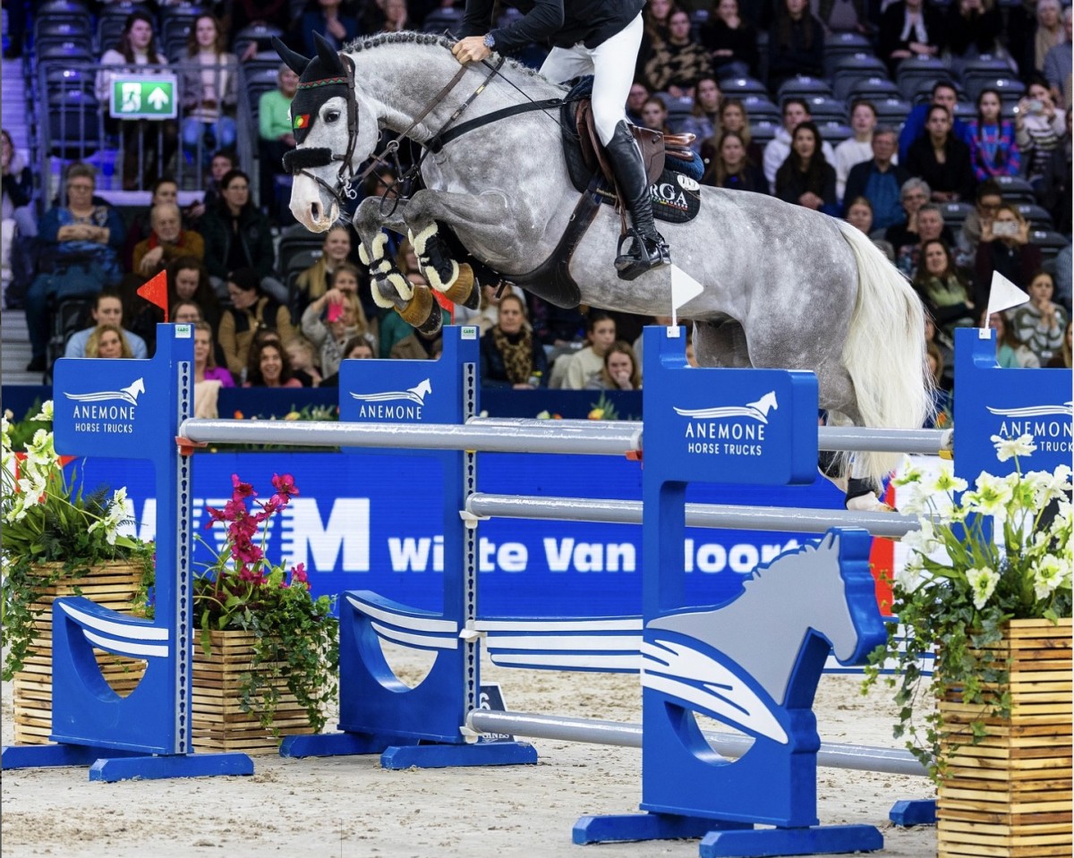 Deckhengst Kentucky Rw (KWPN (Niederländisches Warmblut), 2015, von Berlin)