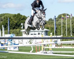 jumper Karonia.l (KWPN (Royal Dutch Sporthorse), 2015, from VDL Harley)