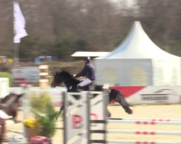 Reitturnier Westergellersen 2025