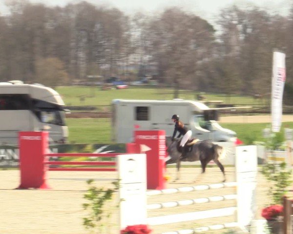 Reitturnier Westergellersen 2025