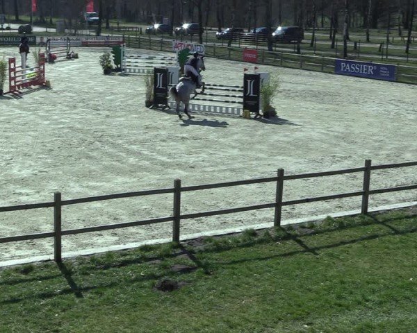 Reitturnier Westergellersen 2025