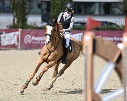 jumper Granus L CH (Swiss Warmblood, 2018, from Granino L)