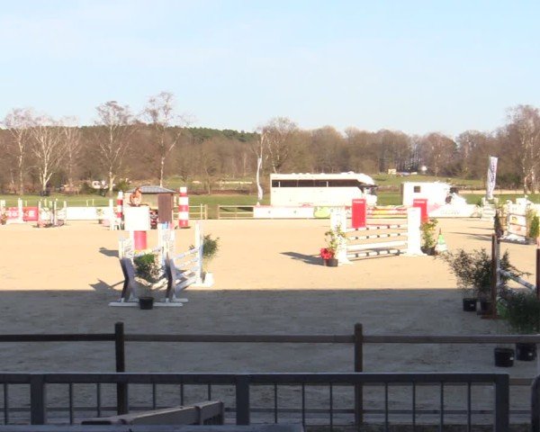 Reitturnier Westergellersen 2025