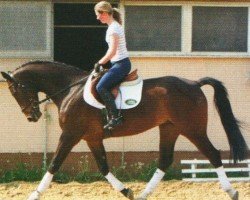 jumper Figaro 264 (Hanoverian, 2006, from First Pleasure)