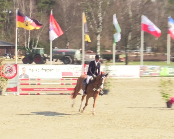 Reitturnier Westergellersen 2025