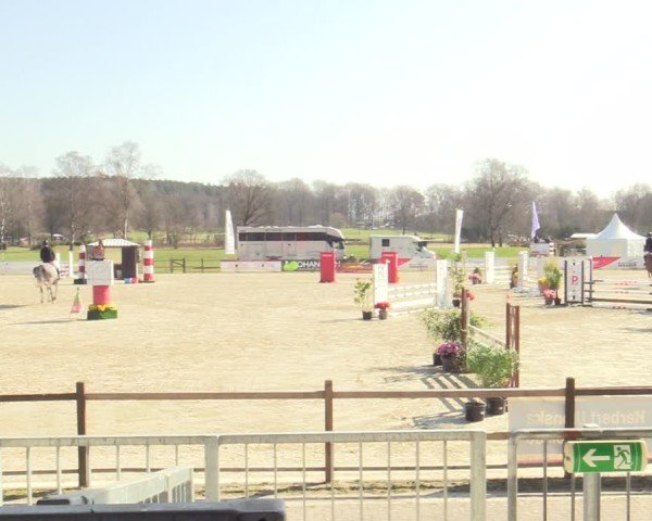 Reitturnier Westergellersen 2025