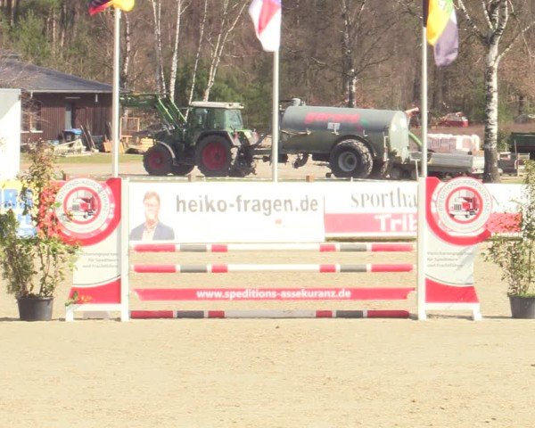 Reitturnier Westergellersen 2025