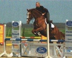 jumper Eyda 2 (Hanoverian, 2009, from Escudo I)