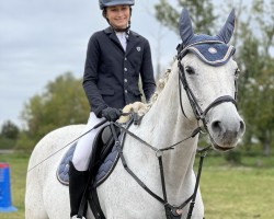 Dressurpferd Scary Jumper (Deutsches Reitpferd, 2013, von Santiano 3)