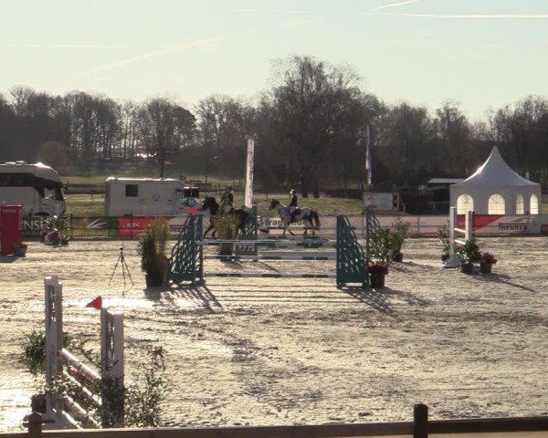 Reitturnier Westergellersen 2025