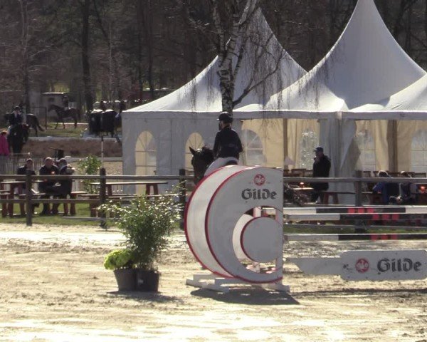 Reitturnier Westergellersen 2025