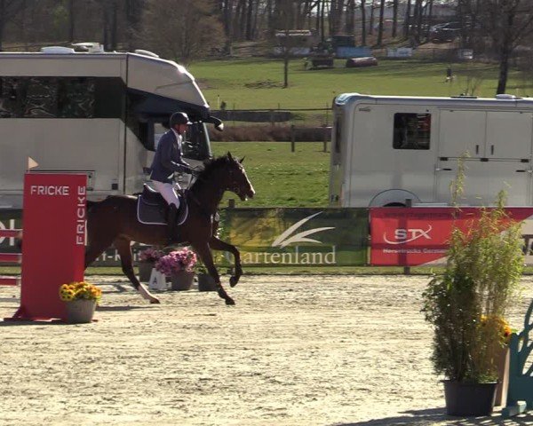 Reitturnier Westergellersen 2025