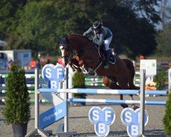 jumper Lord Lexington 5 (Oldenburg show jumper, 2017, from Lordanos)