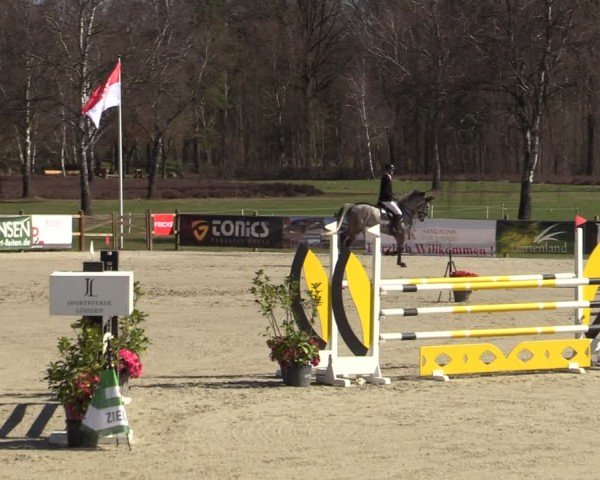 Reitturnier Westergellersen 2025