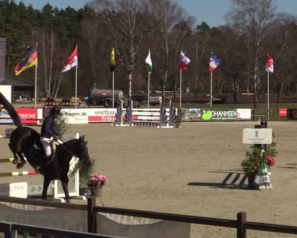 Reitturnier Westergellersen 2025