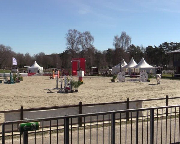 Reitturnier Westergellersen 2025