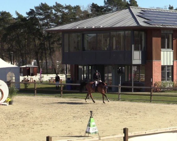Reitturnier Westergellersen 2025