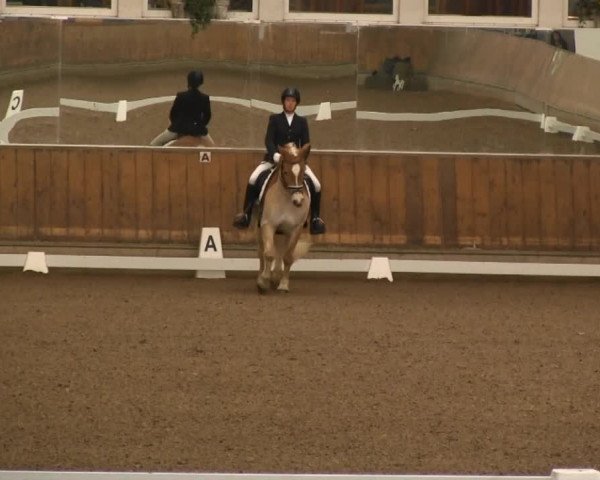 Hallenreitturnier RV Giebelwald 2013