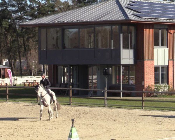 Reitturnier Westergellersen 2025