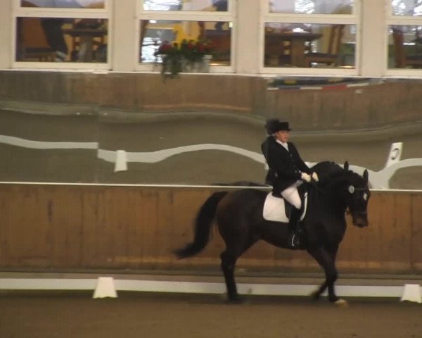 Hallenreitturnier RV Giebelwald 2013