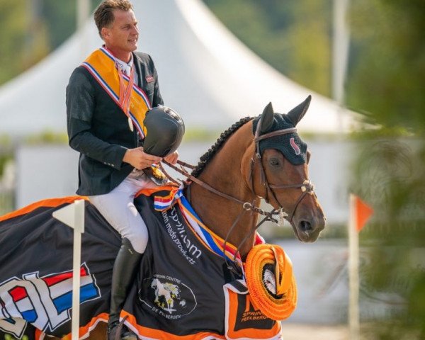 jumper Sterrehof's Dante (KWPN (Royal Dutch Sporthorse), 2008, from Canturano I)