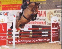 jumper Augusto (Hanoverian, 2006, from Askanier)