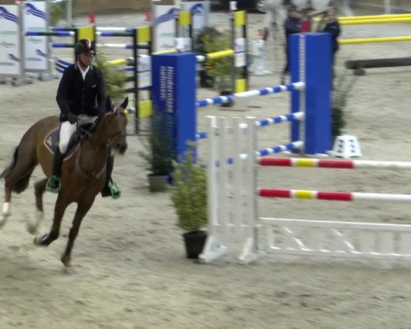 Reitturnier Rüti 2021