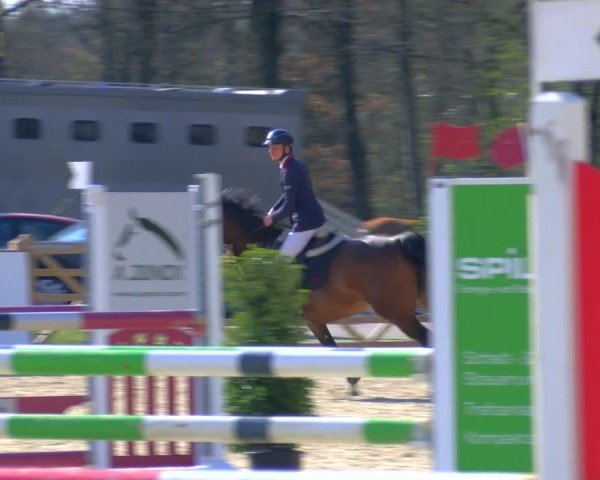Reitturnier Borken 2025