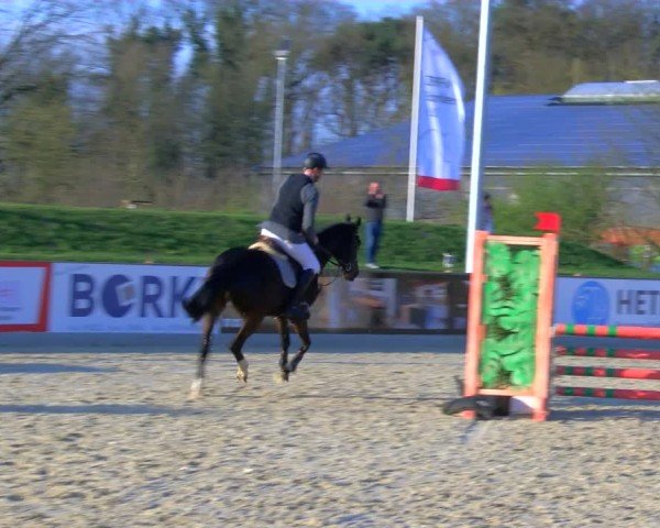 Reitturnier Borken 2025