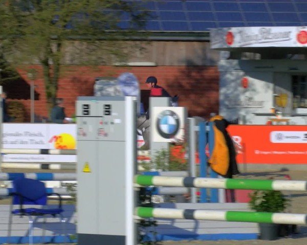 Reitturnier Borken 2025
