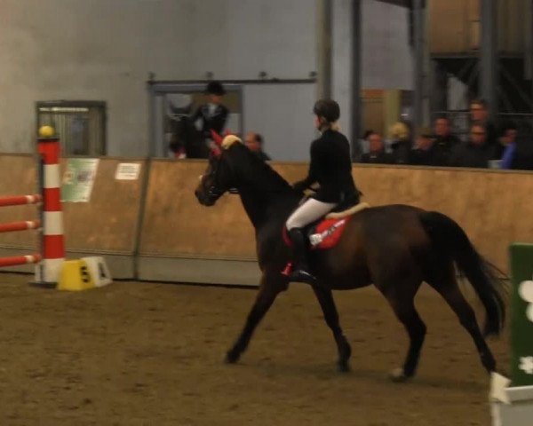 Hallenreitturnier RV Giebelwald 2013
