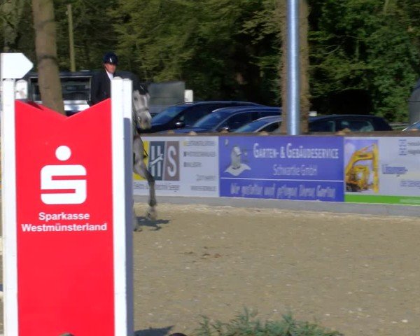 Reitturnier Borken 2025