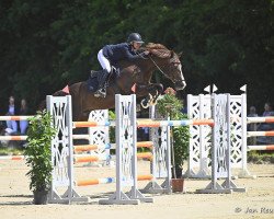 Springpferd Hurbie (KWPN (Niederländisches Warmblut), 2012, von Carrera)