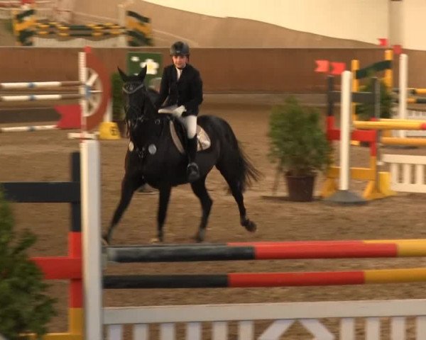 Hallenreitturnier RV Giebelwald 2013