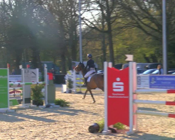 Reitturnier Borken 2025