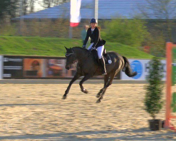 Reitturnier Borken 2025
