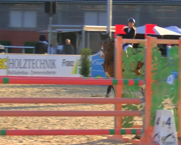 Reitturnier Borken 2025