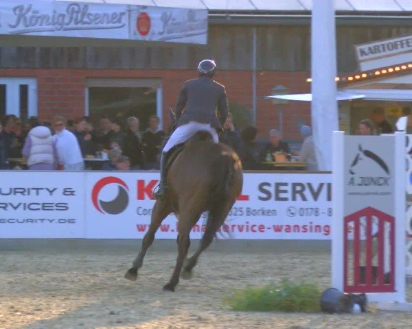 Reitturnier Borken 2025