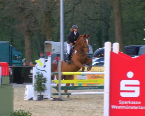 Reitturnier Borken 2025