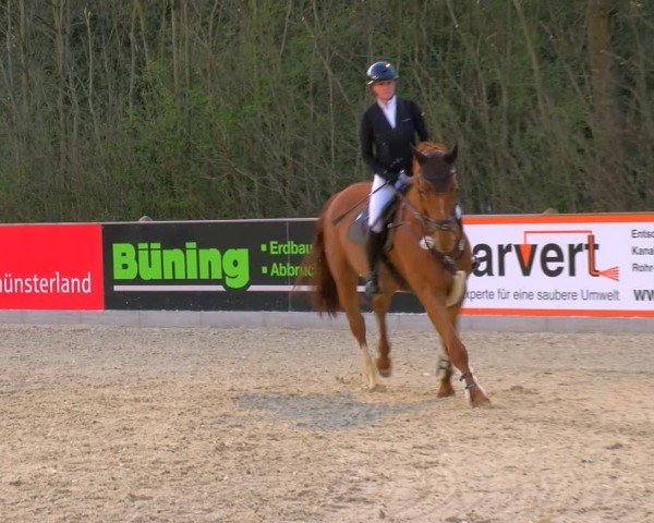 Reitturnier Borken 2025