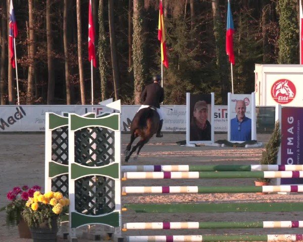 Reitturnier Ranshofen - Braunau am Inn 2025