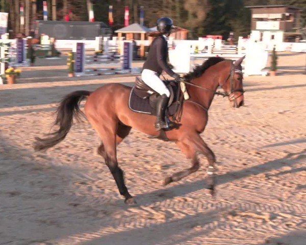 Reitturnier Ranshofen - Braunau am Inn 2025
