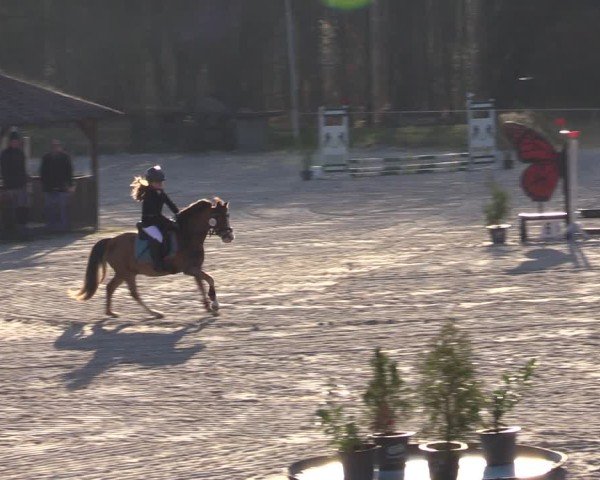 Reitturnier Pietzpuhl 2025