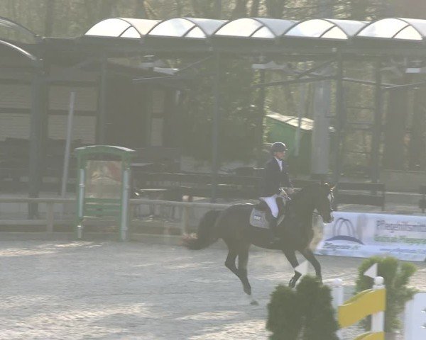 Reitturnier Balve-Wocklum 2025