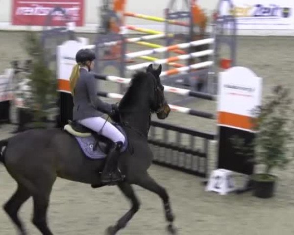 Reitturnier Verden 2013