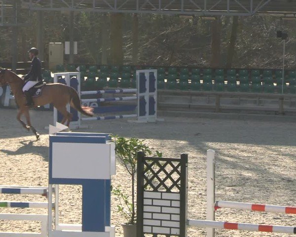 Reitturnier Balve-Wocklum 2025