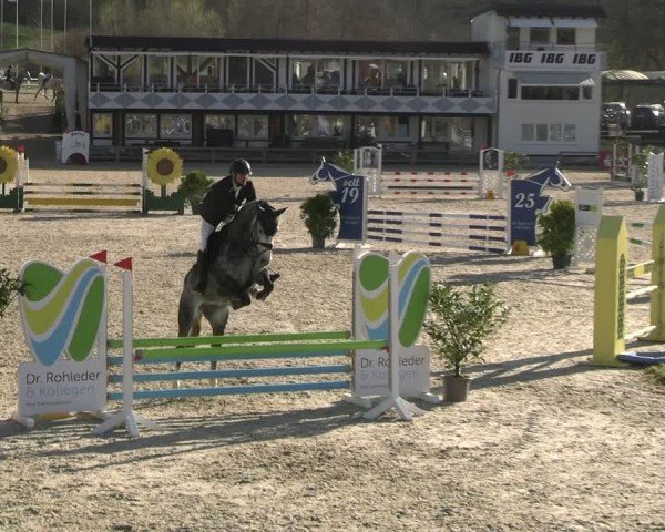 Reitturnier Balve-Wocklum 2025