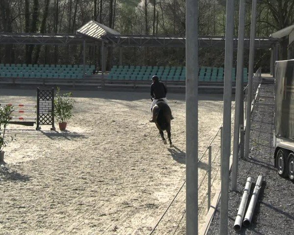 Reitturnier Balve-Wocklum 2025