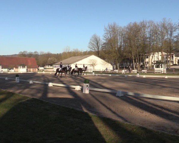 Reitturnier Balve-Wocklum 2025